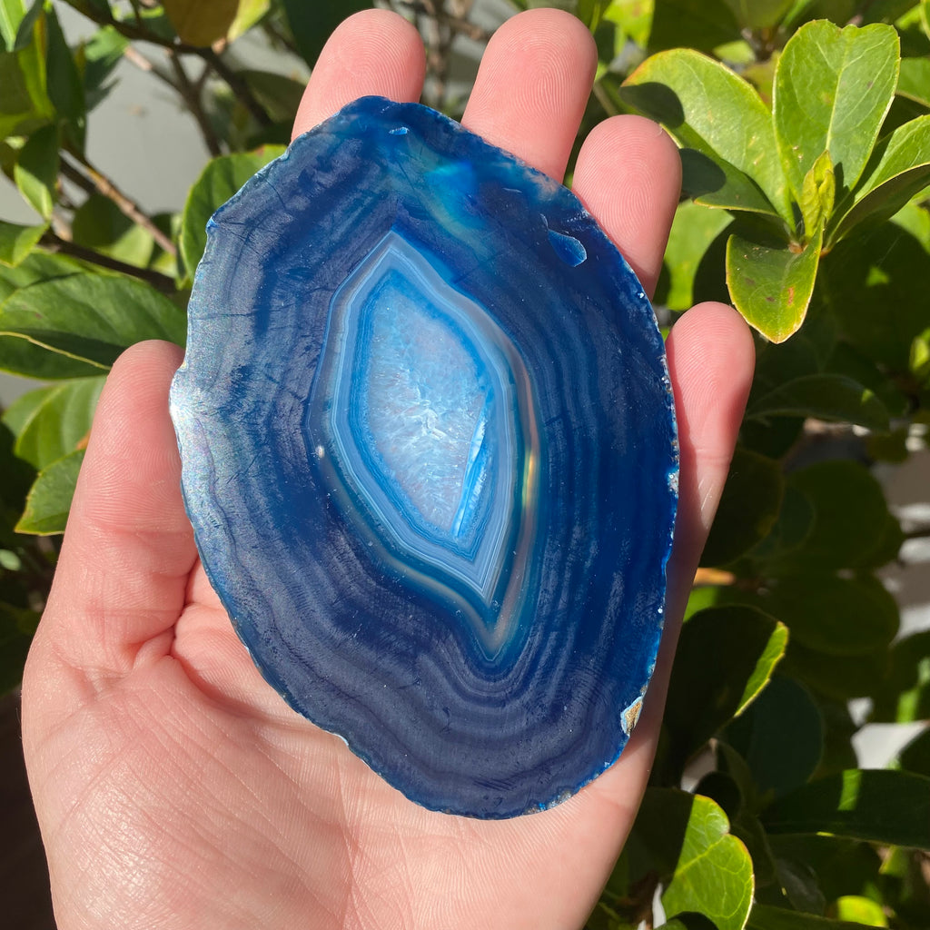 Blue Agate Slice  Sydney Crystal Caves