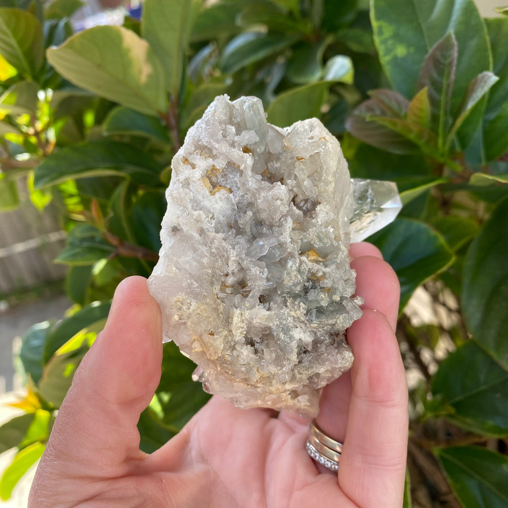 Clear Quartz Cluster