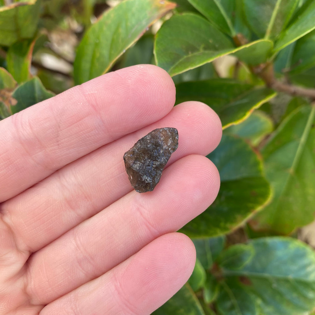 Moldavite 1.25g