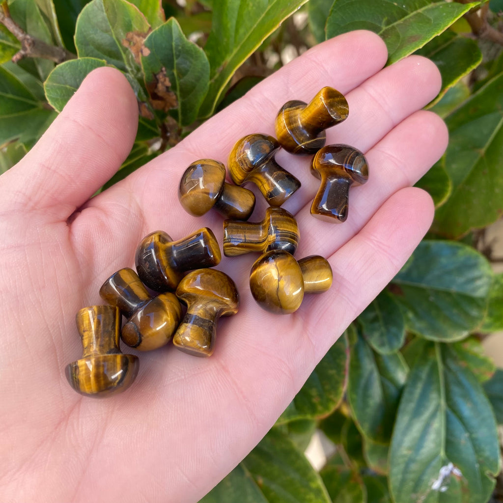 Mushroom - Tiger Eye