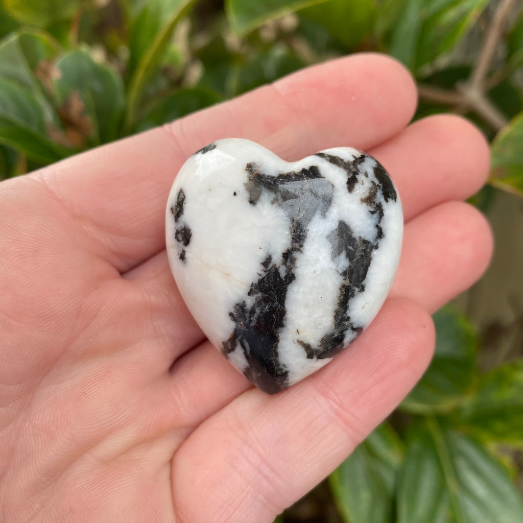 Zebra Jasper Heart