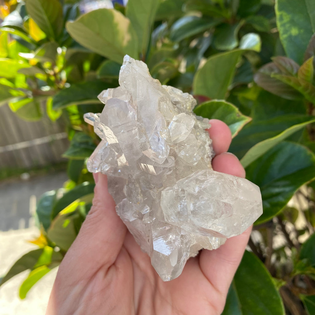 Clear Quartz Cluster