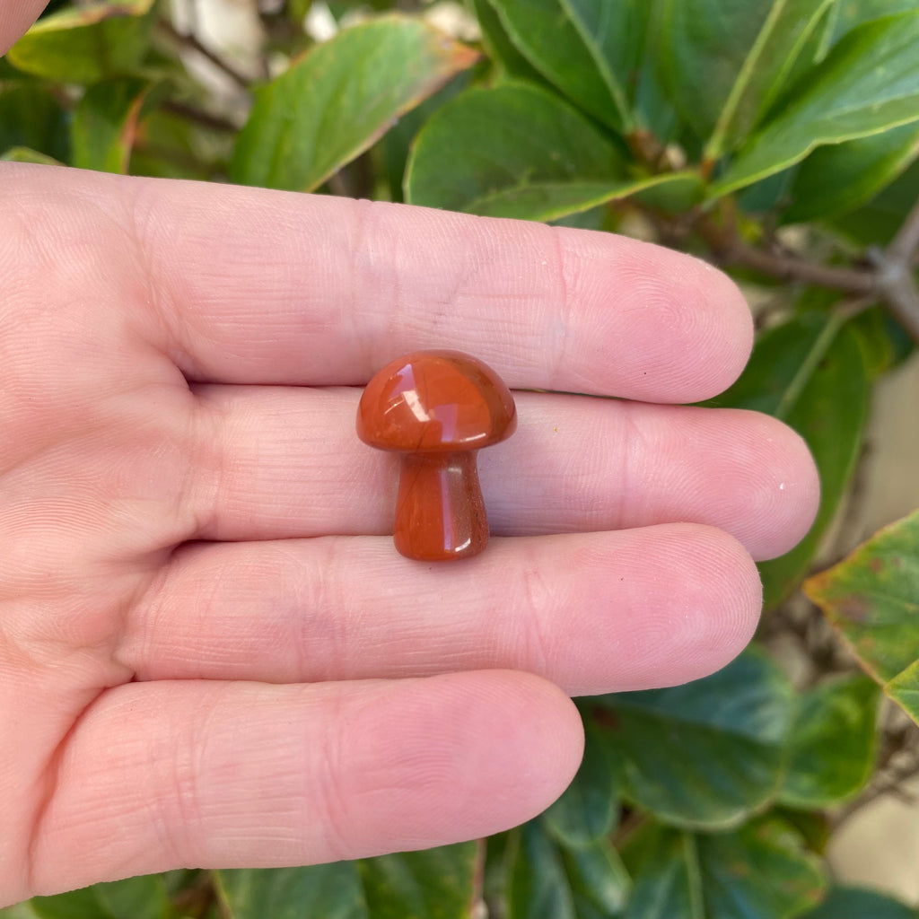 Mushroom - Red Jasper