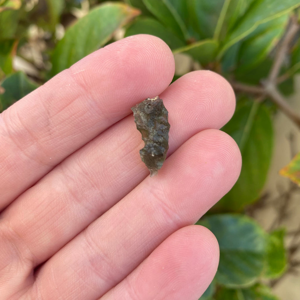 Moldavite 0.95g