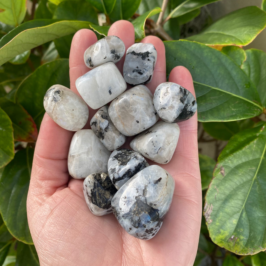 Moonstone Tumbled Stones