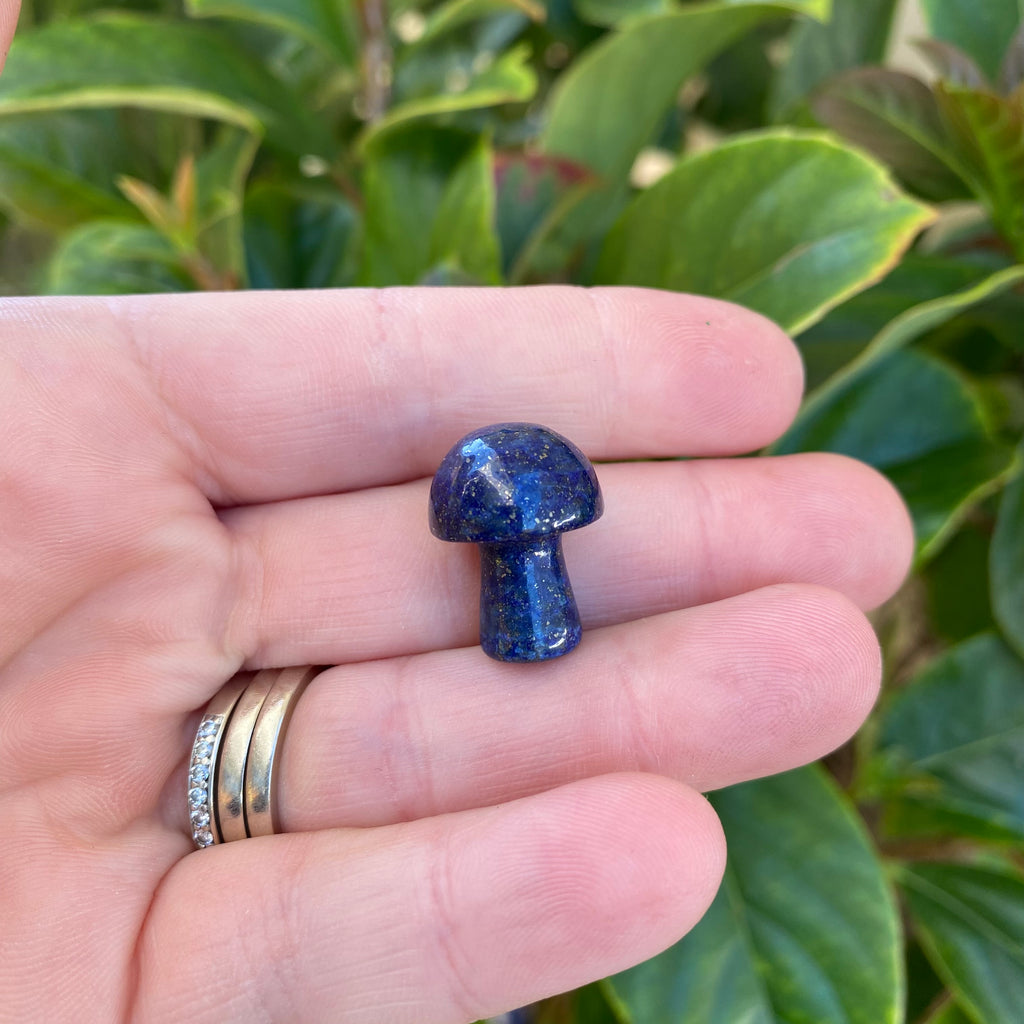 Mushroom - Lapis Lazuli