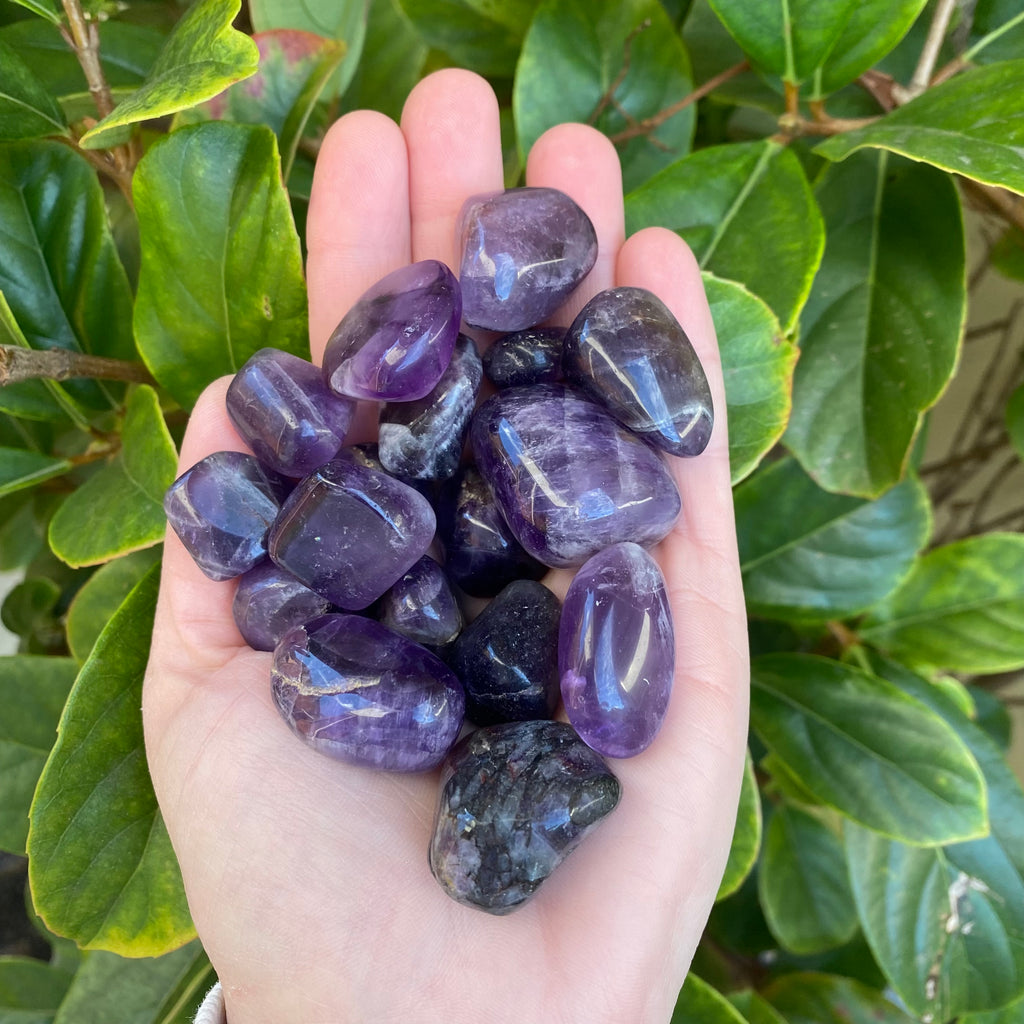 Amethyst Tumbled Stones