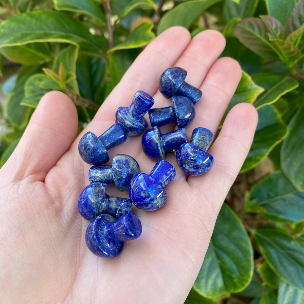 Mushroom - Lapis Lazuli