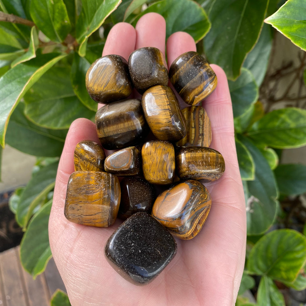 Tiger Eye Tumbled Stones