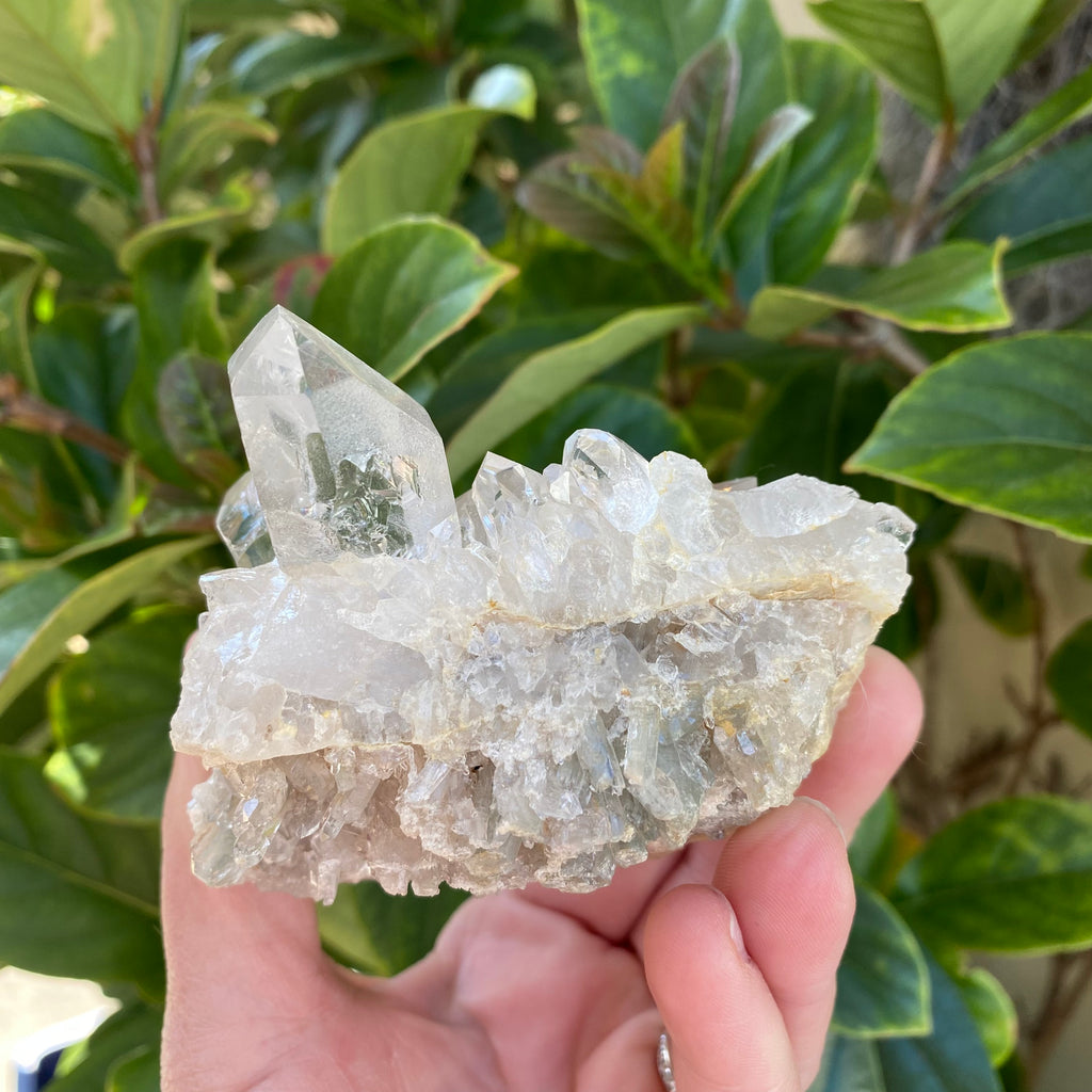 Clear Quartz Cluster