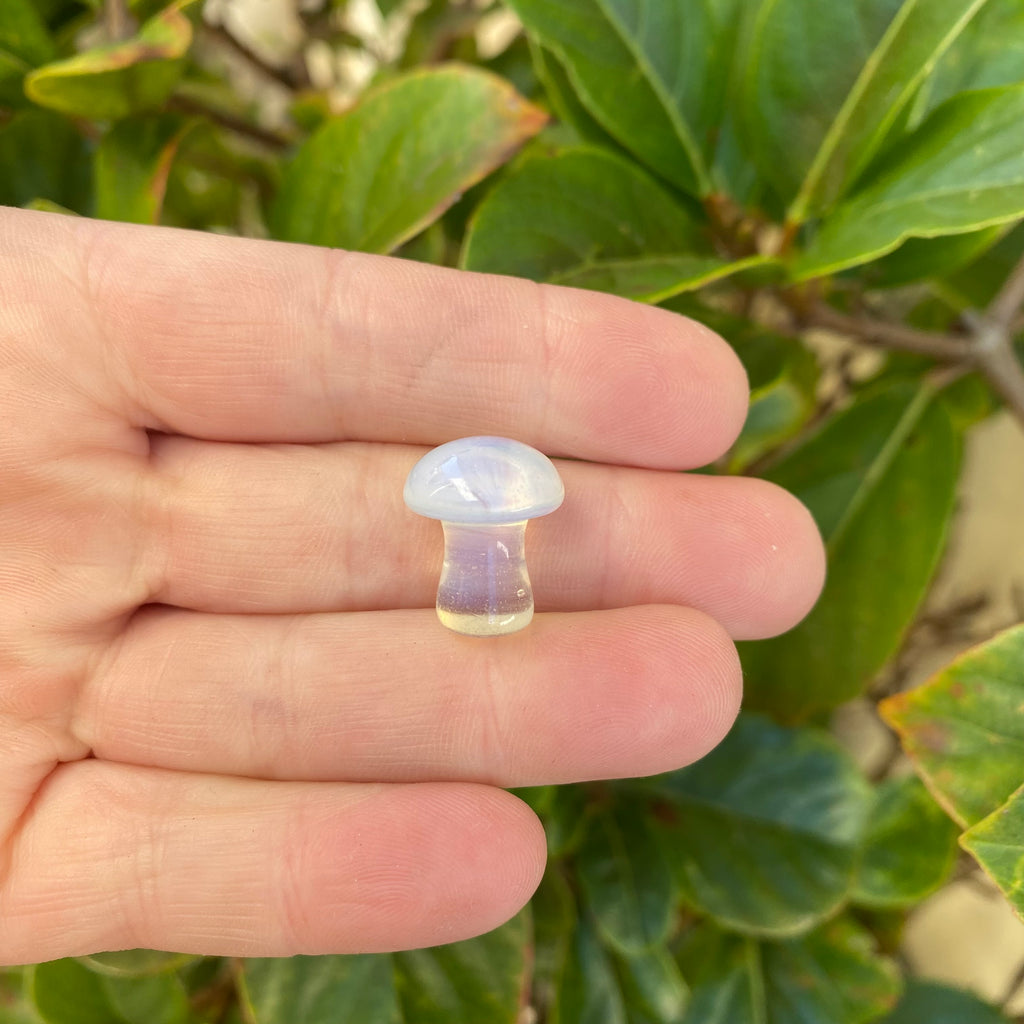 Mushroom - Opalite