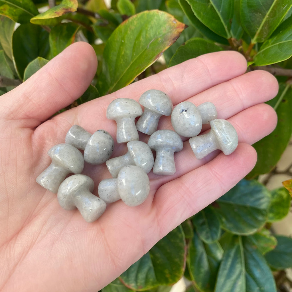 Mushroom - Labradorite