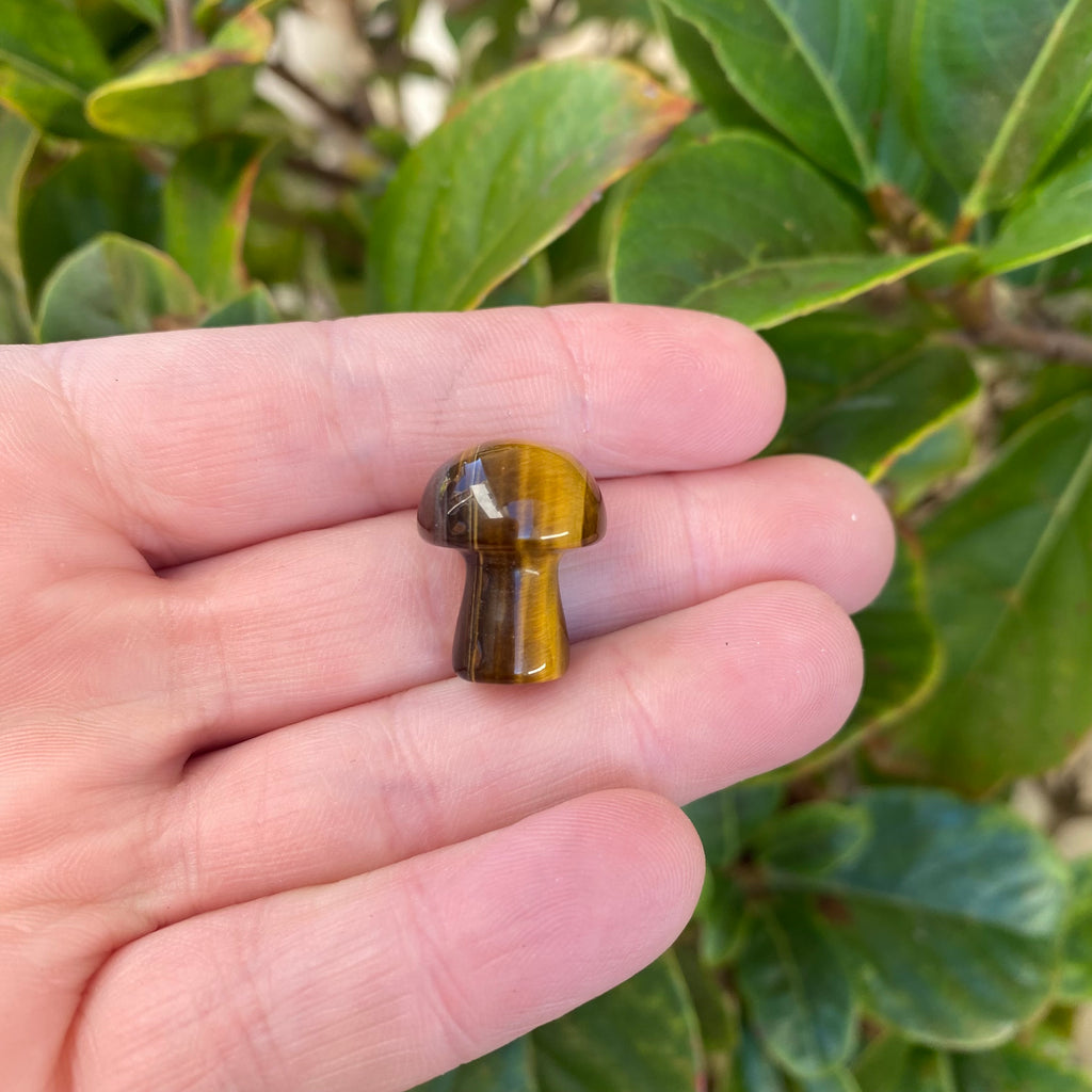 Mushroom - Tiger Eye