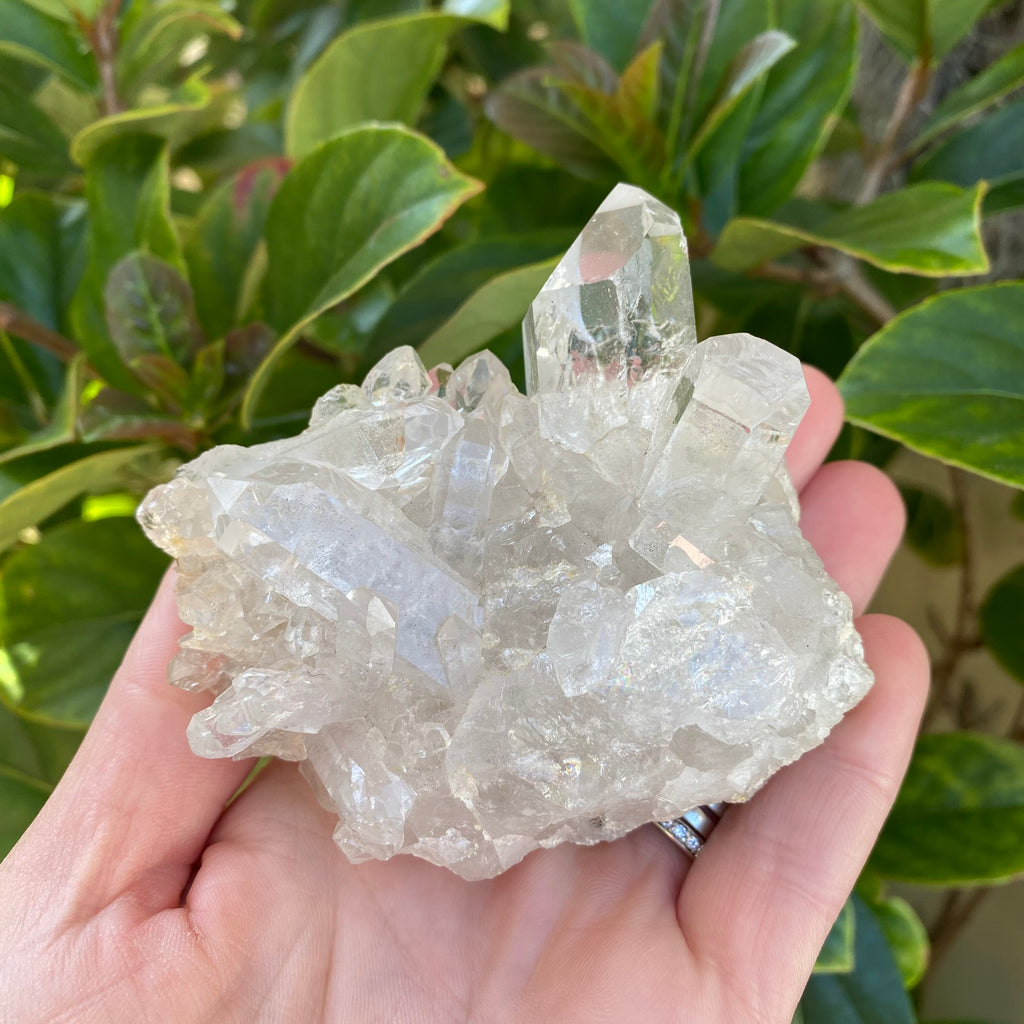 Clear Quartz Cluster