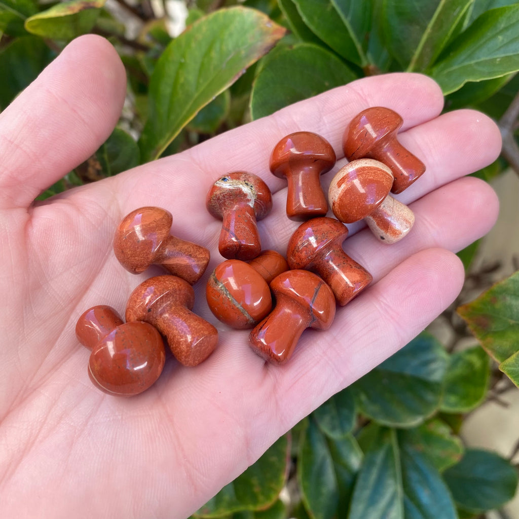 Mushroom - Red Jasper