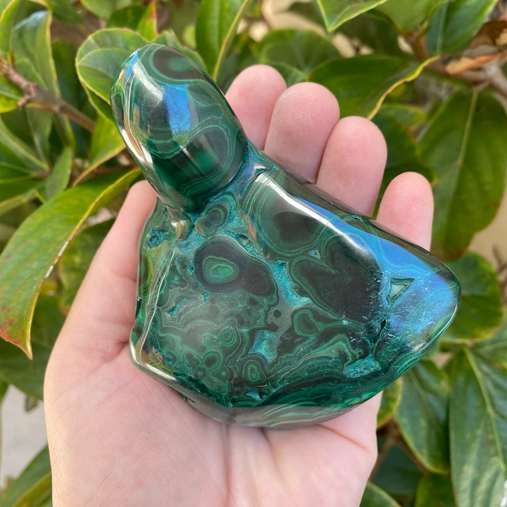 Large Malachite Freeform (460g)