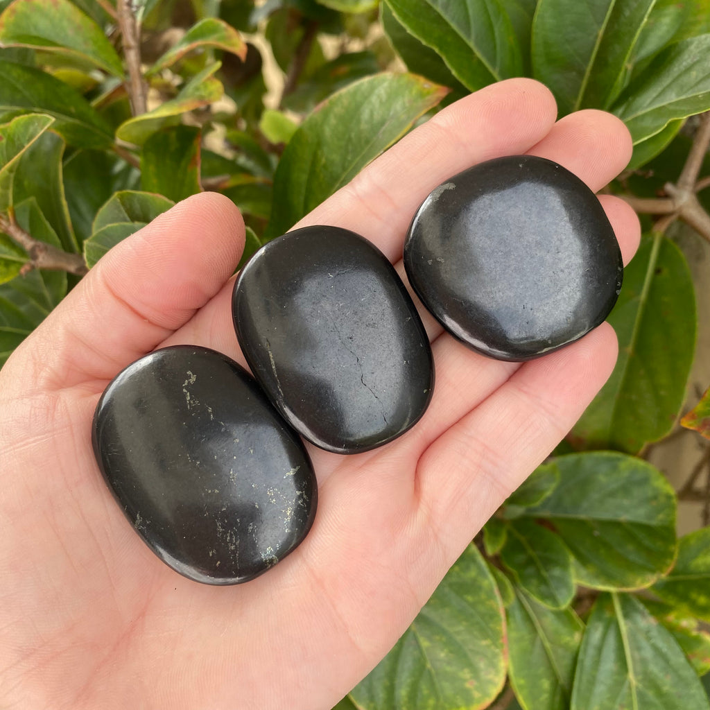 Shungite Palm Stone