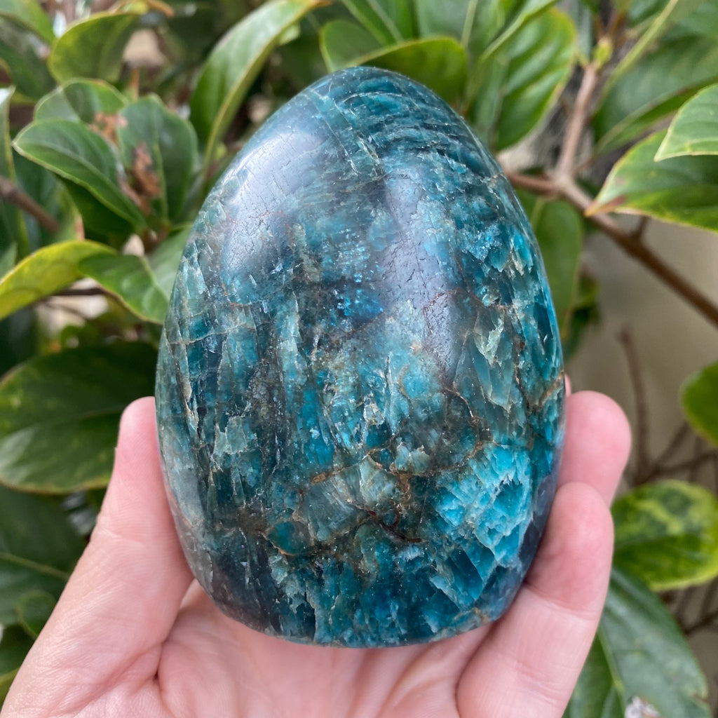 Apatite Freeform