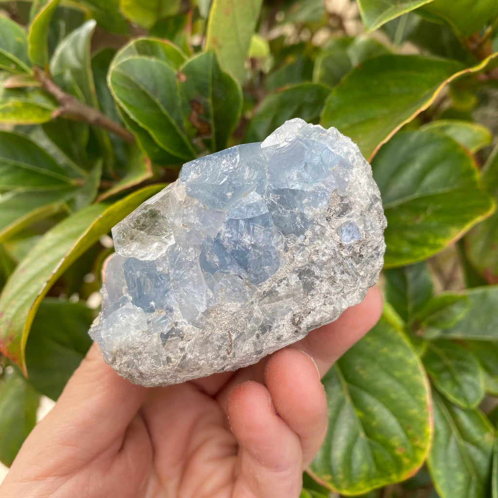 Celestite Cluster Geode