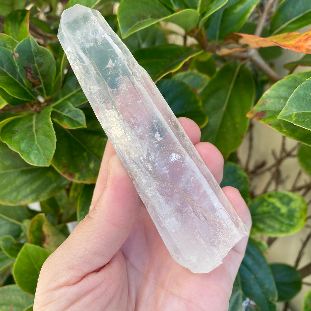 Lemurian Clear Quartz