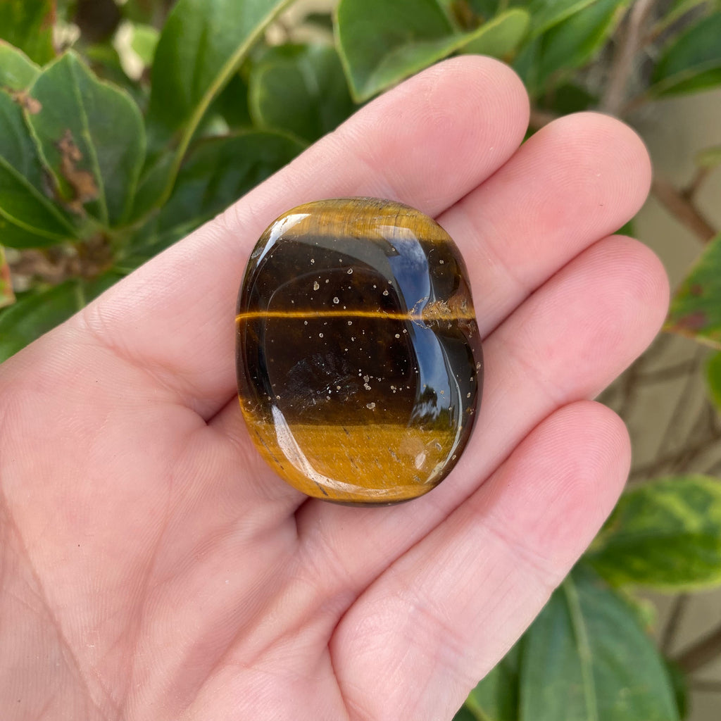 Tiger Eye Palm Stone