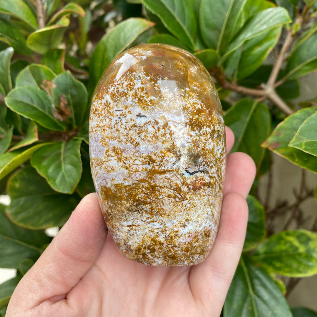 Ocean Jasper