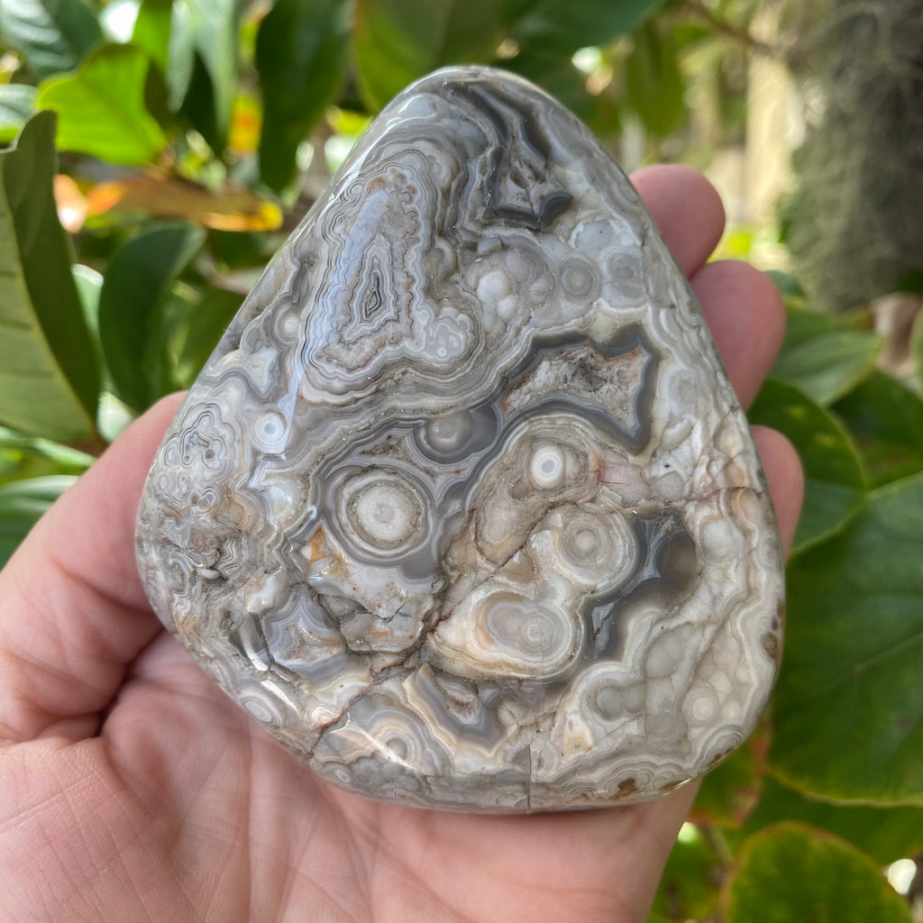 Crazy Lace Agate