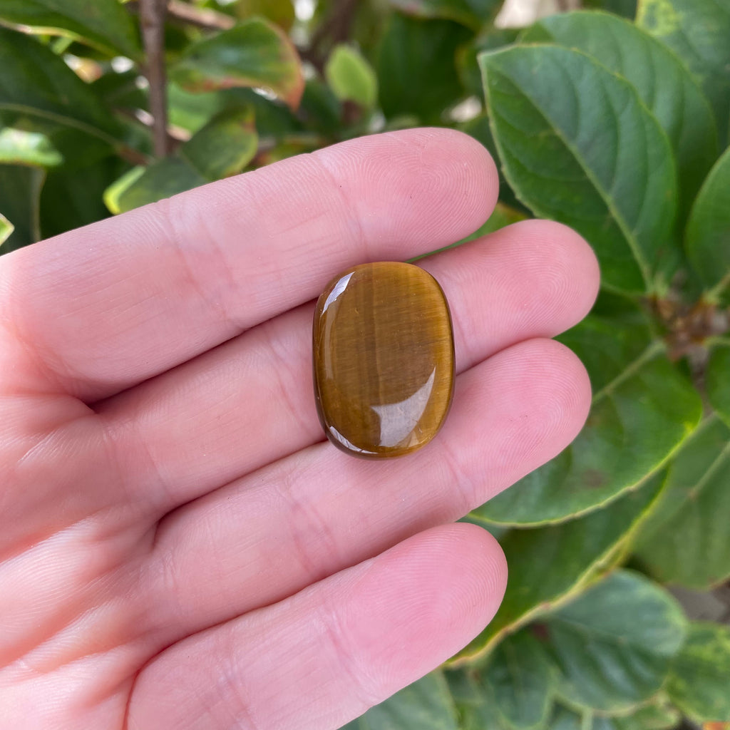 Tiger Eye Mini Stone