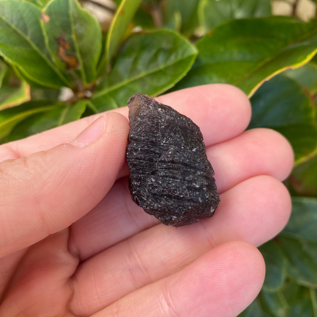 Agni Manitite 14g