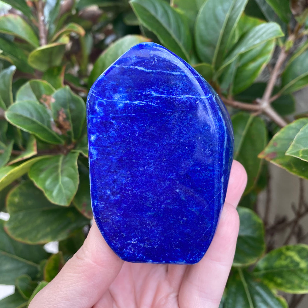 Lapis Lazuli Freeform