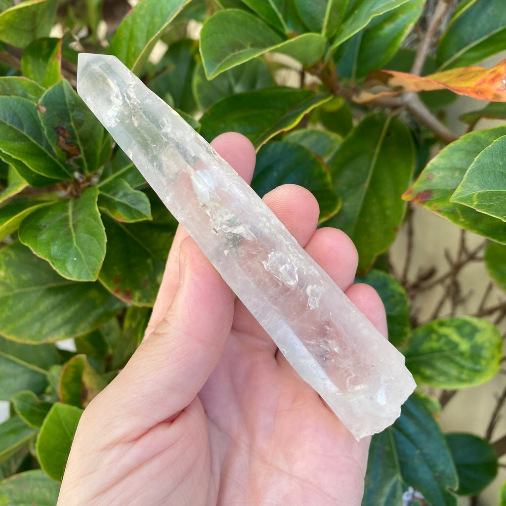 Lemurian Clear Quartz