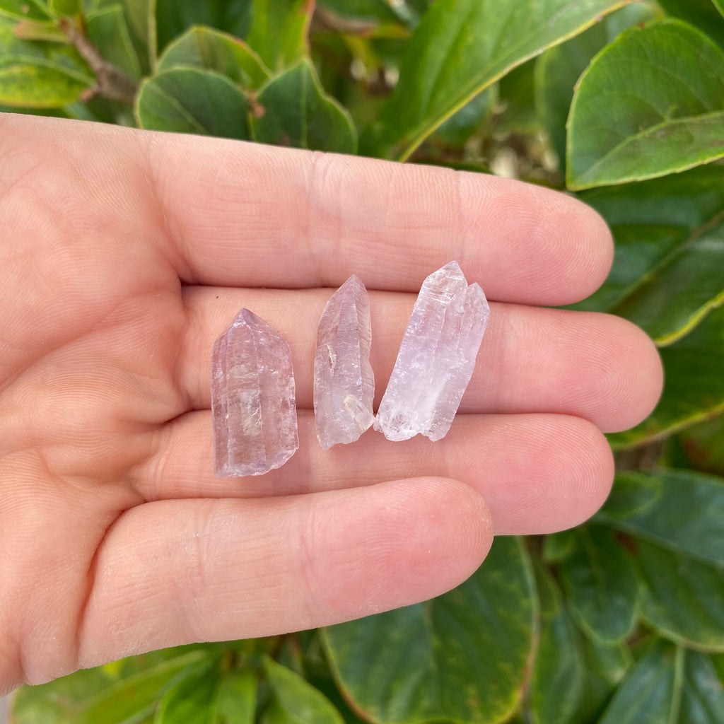 Vera Cruz Amethyst Points x 3