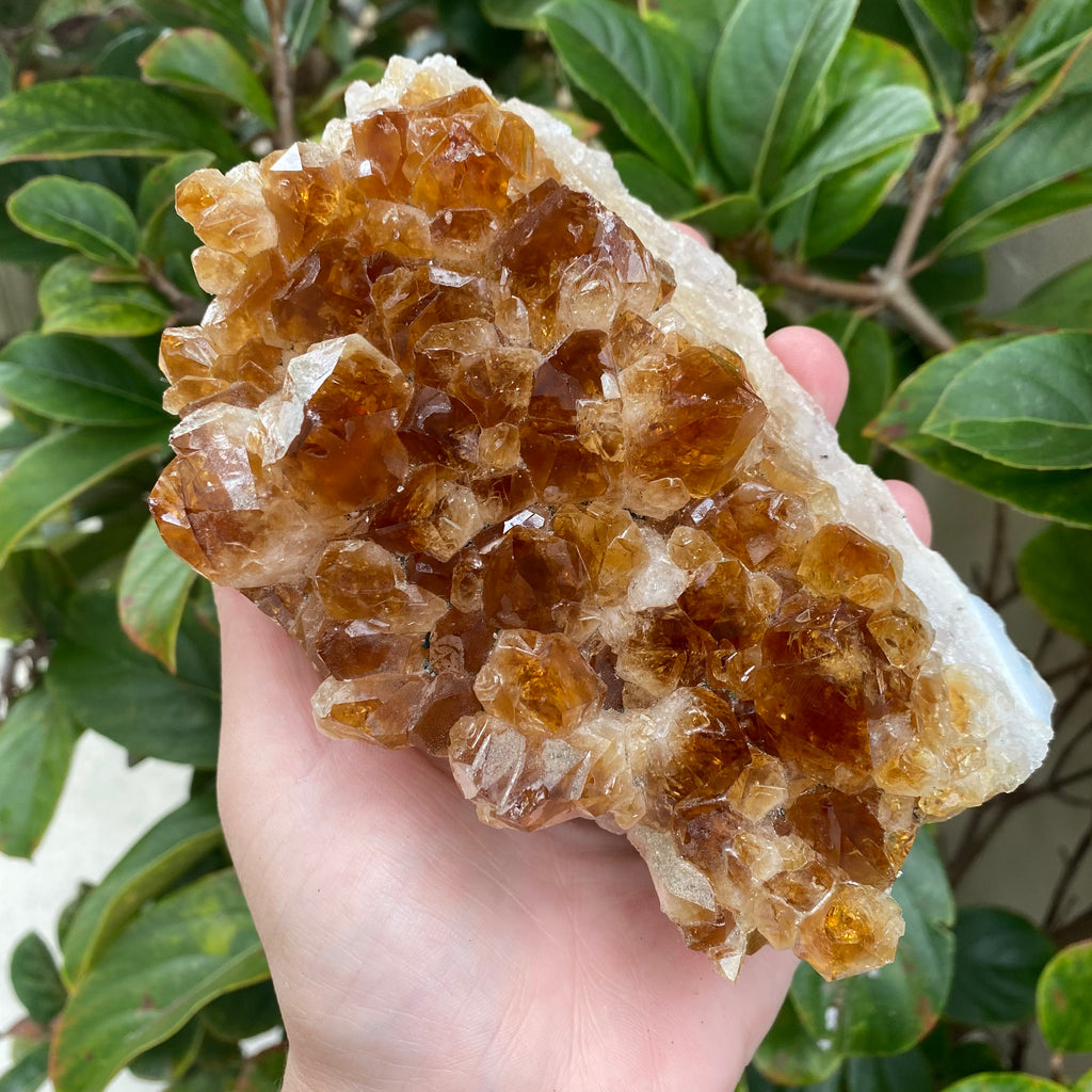 Citrine Cluster