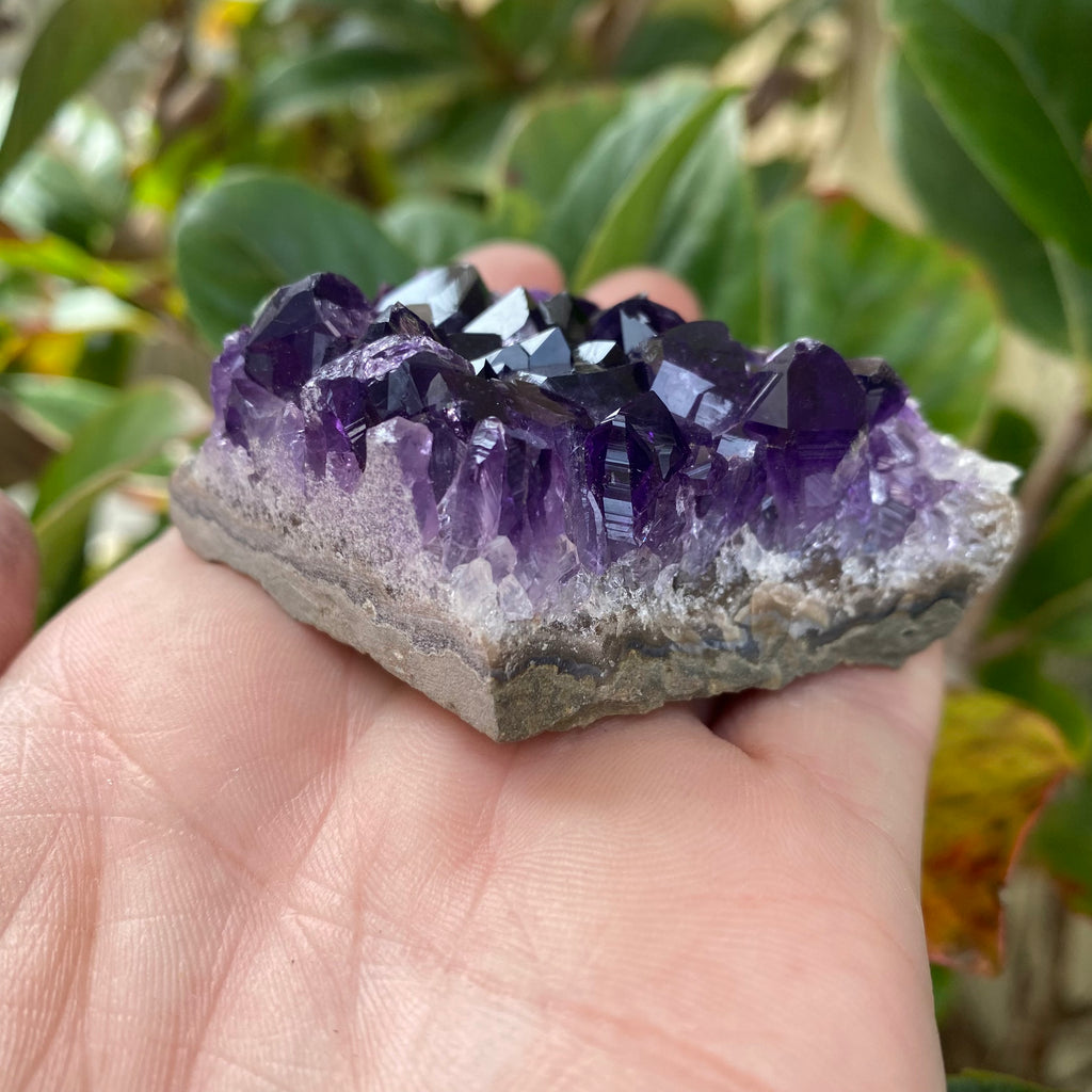 Amethyst Cluster 105g