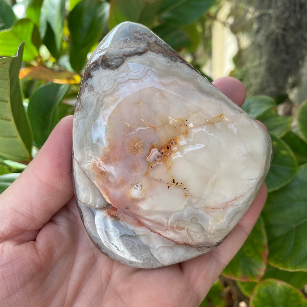 Crazy Lace Agate