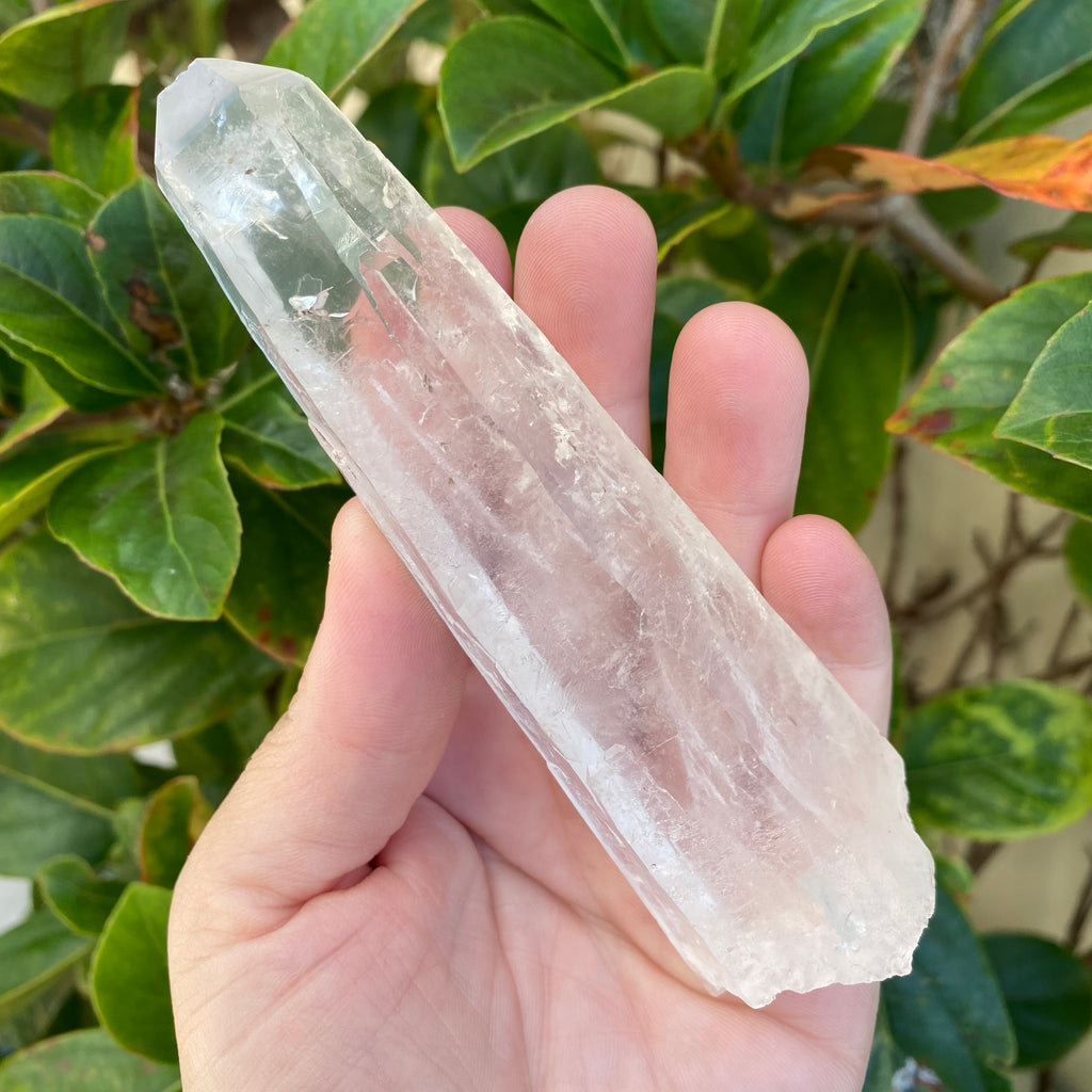 Lemurian Clear Quartz