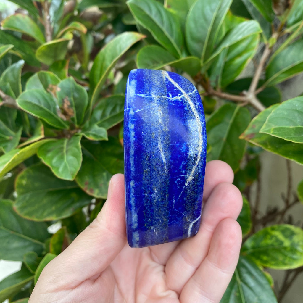 Lapis Lazuli Freeform