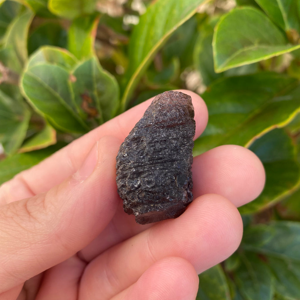 Agni Manitite 14g