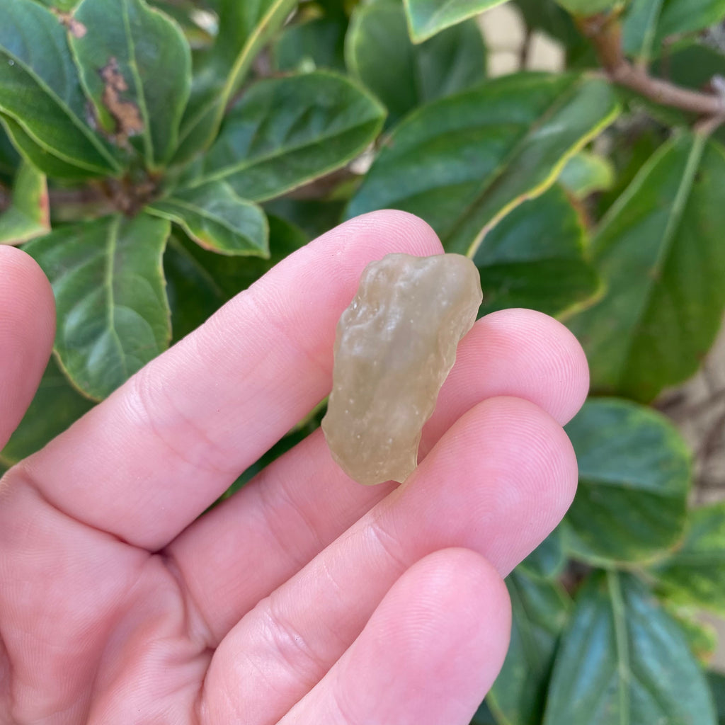 Libyan Desert Glass 8.5g