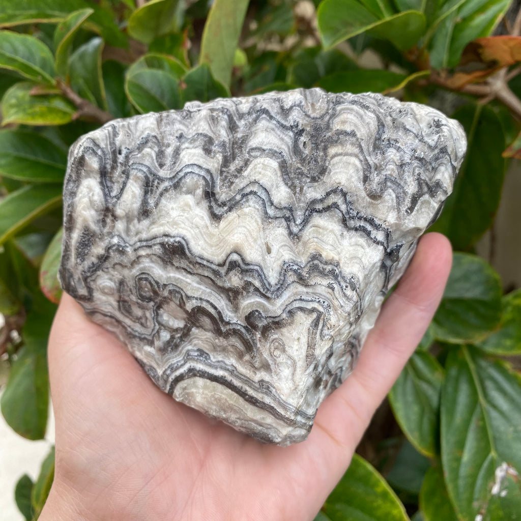 Zebra Striped Calcite