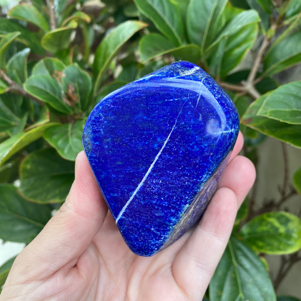 Lapis Lazuli Freeform