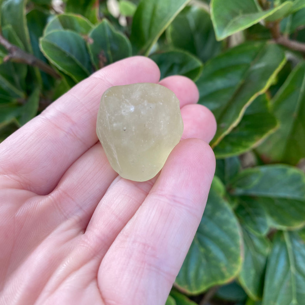 Libyan Desert Glass 16g