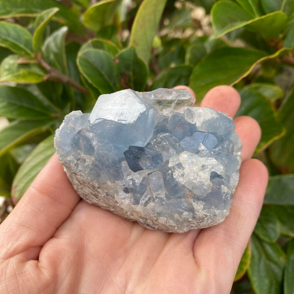 Celestite Cluster Geode