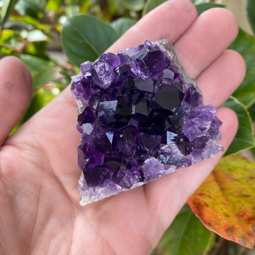 Amethyst Cluster 105g