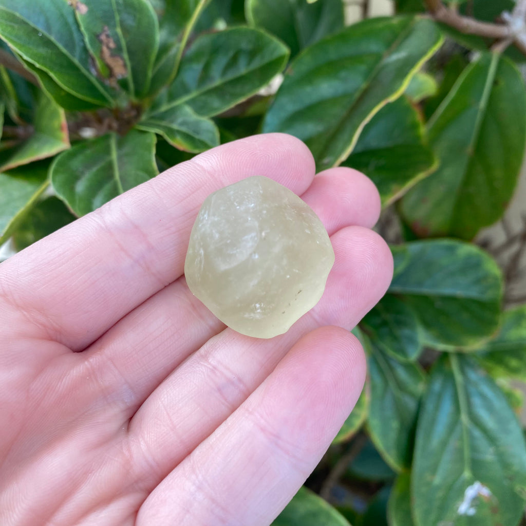 Libyan Desert Glass 16g