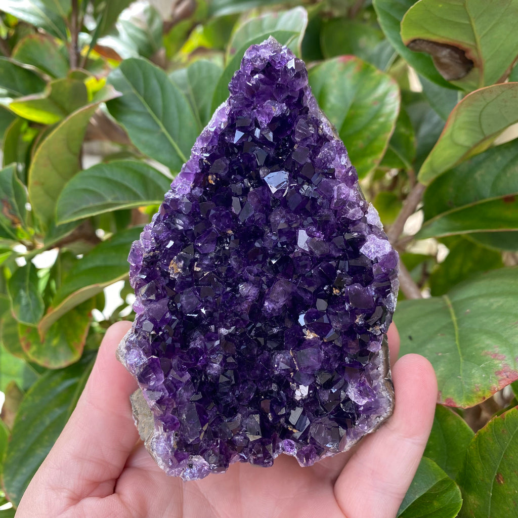 Amethyst with Cut Base (6)