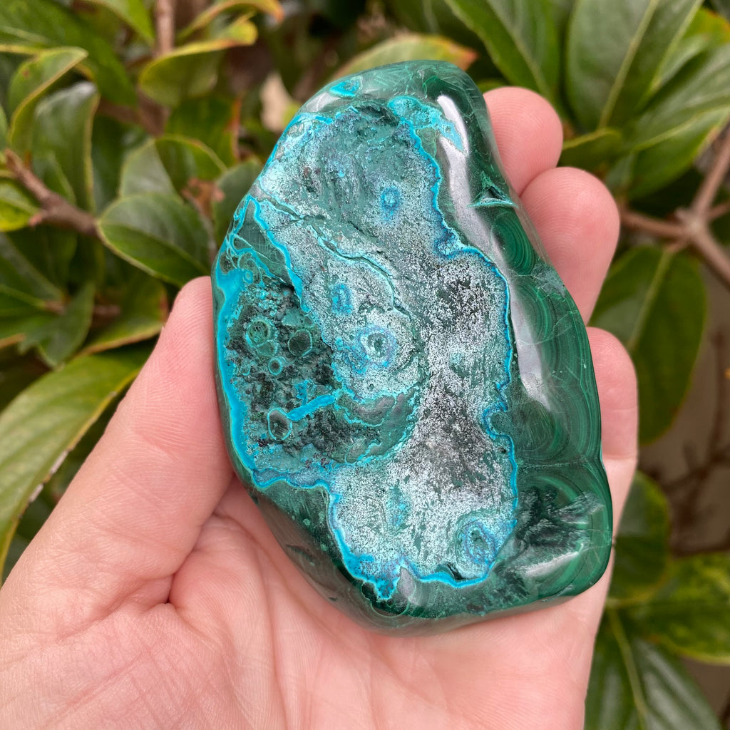 Chrysocolla Freeform #2