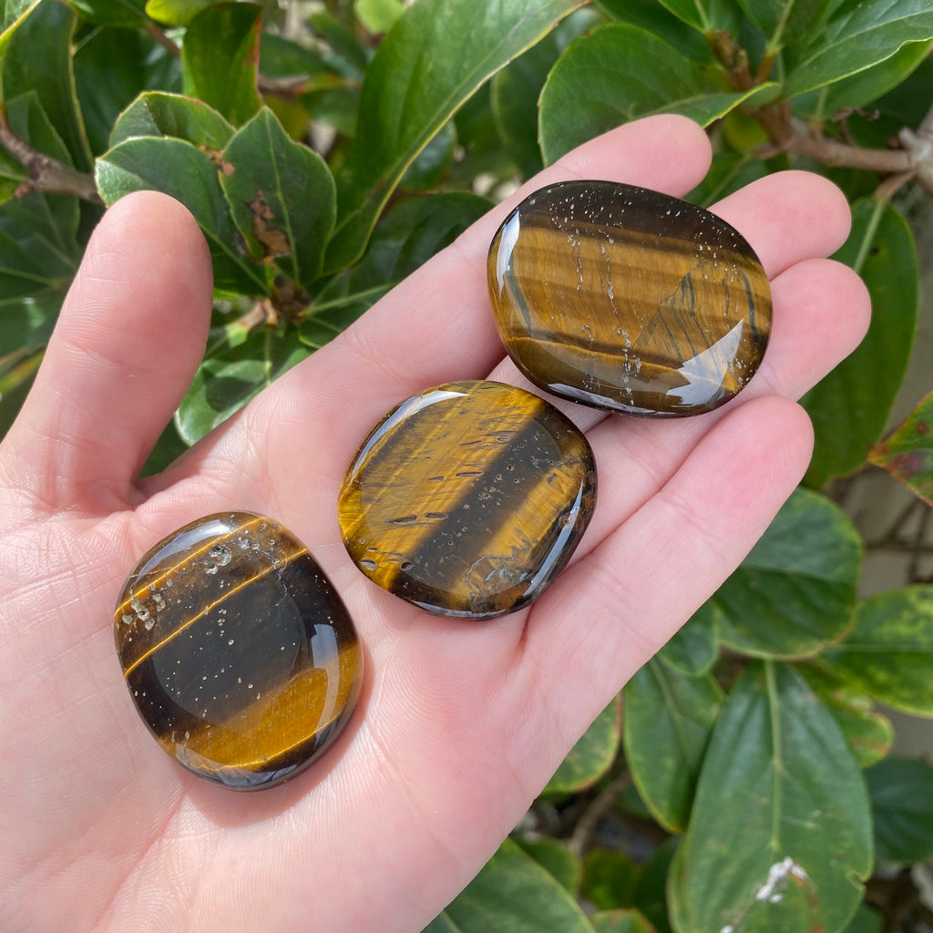 Tiger Eye Palm Stone