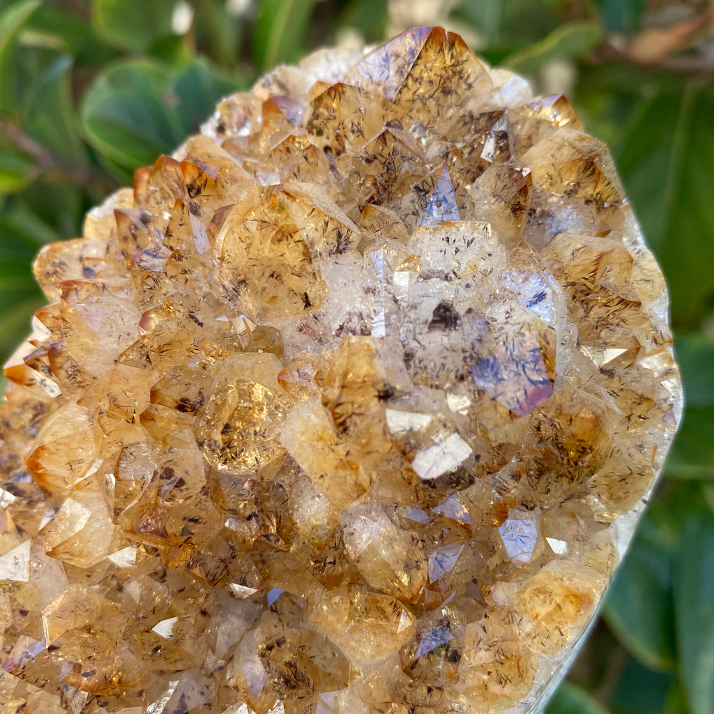 Citrine with Polished Edges