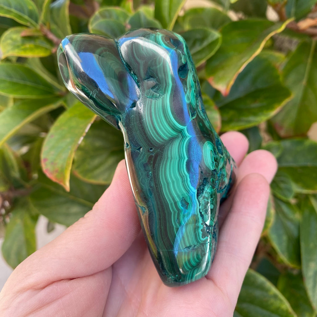 Large Malachite Freeform (460g)